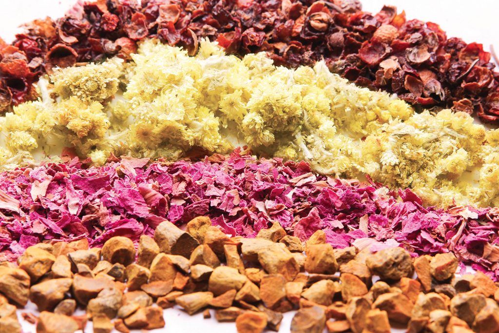 Covid 19: Può essere utile la fitoterapia?