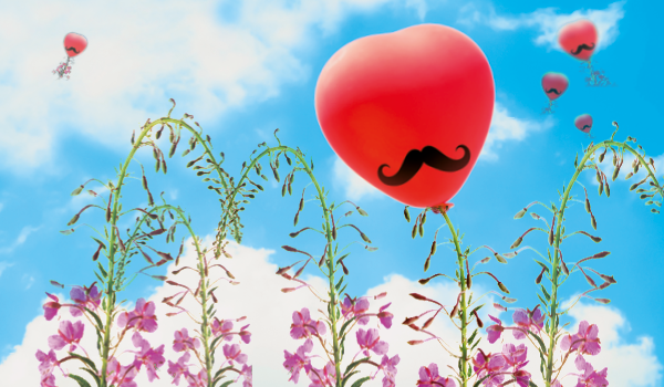 ENOTprost: dalla pianta all’estratto di alta qualità