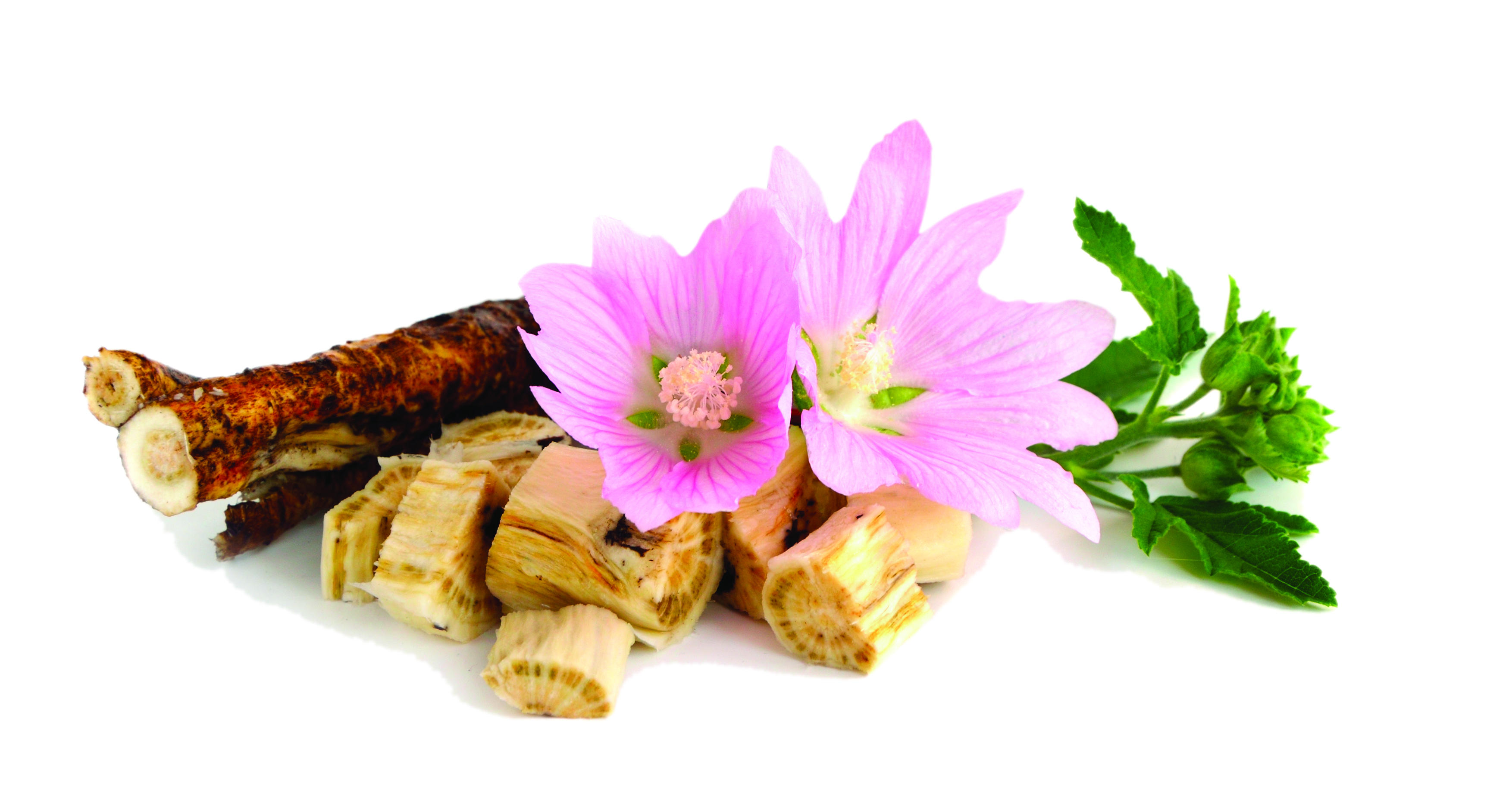 Altea: tra tradizione e scienza