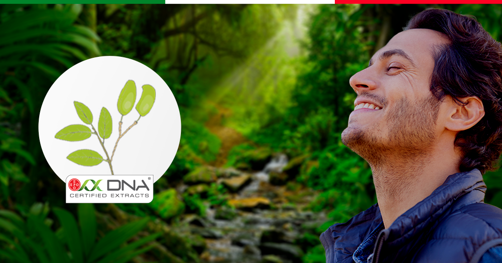 Dalla Griffonia simplicifolia un aiuto nel controllo dell’umore e dell’appetito